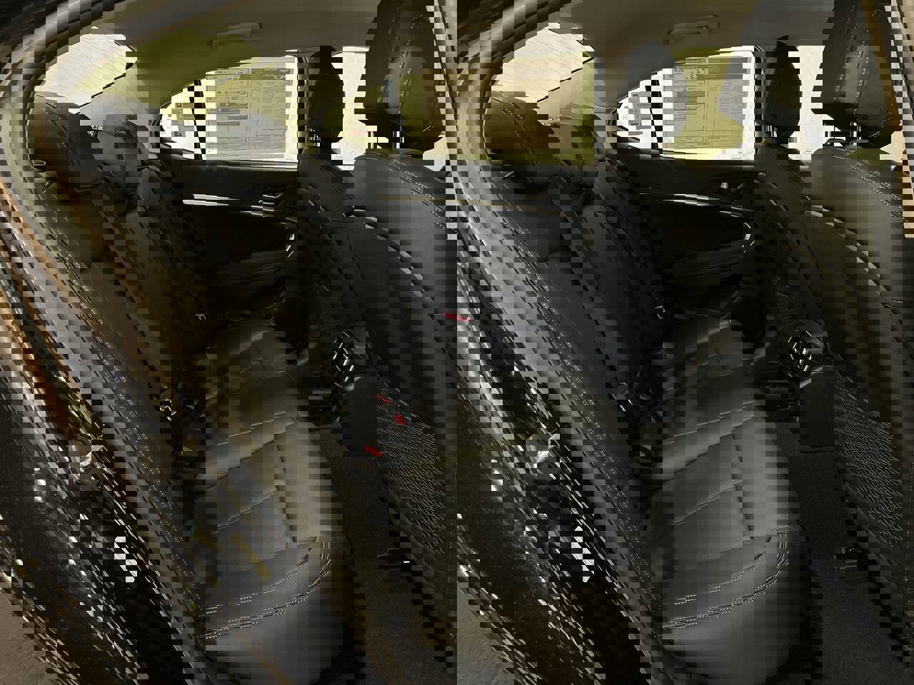 New 2026 Vik Black Genesis 2.5T Standard image 19