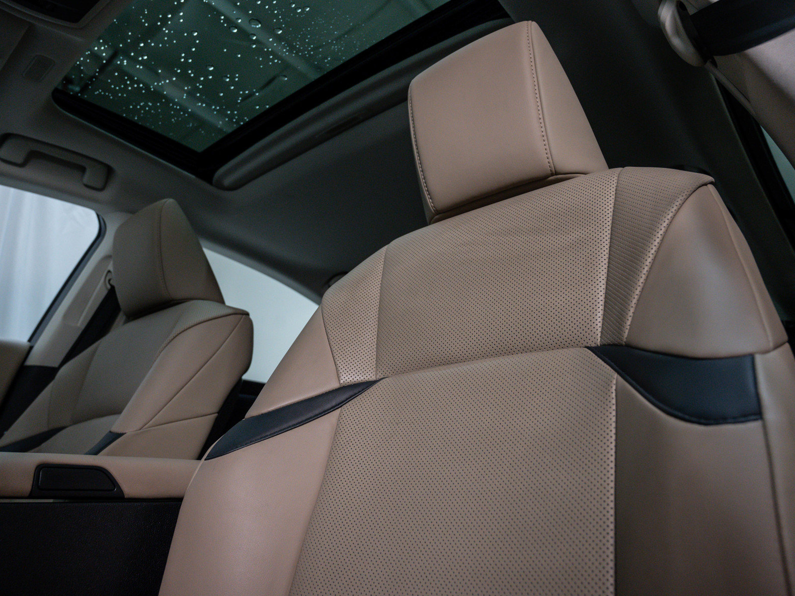 2019 Lexus ES 300h photo 16