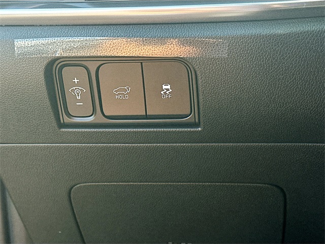 2025 Kia Sorento Hybrid EX photo 10