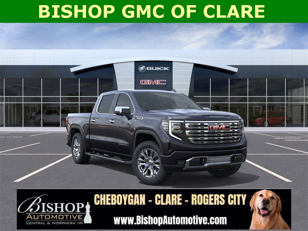 2025 Gmc Sierra 1500 Denali photo 3