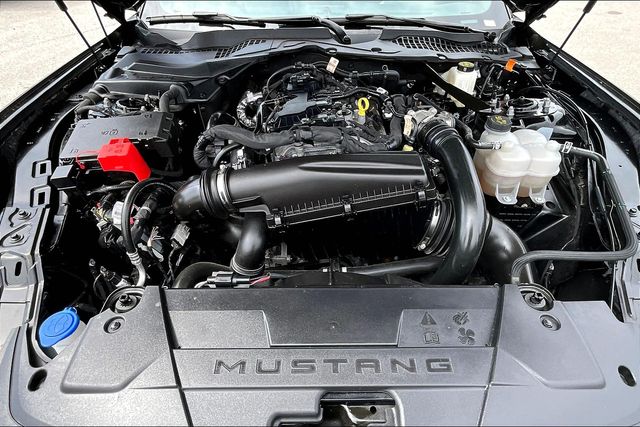 2024 Ford Mustang EcoBoost Premium photo 11
