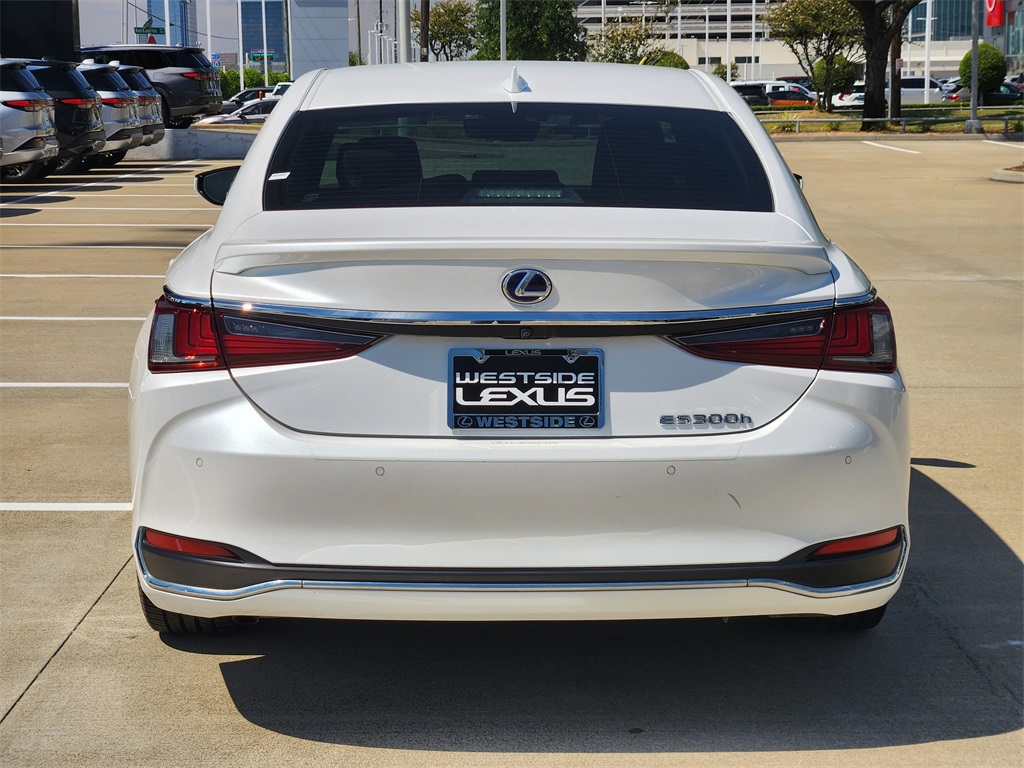 2019 Lexus ES 300h photo 6