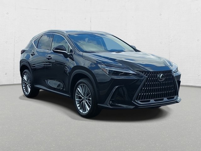 2025 Lexus NX 350 Luxury AWD photo 3