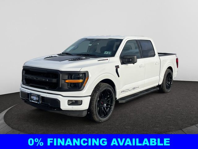 2025 Ford F-150 XLT's photo