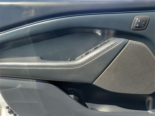 2021 Ford Mustang Mach-E Select photo 17