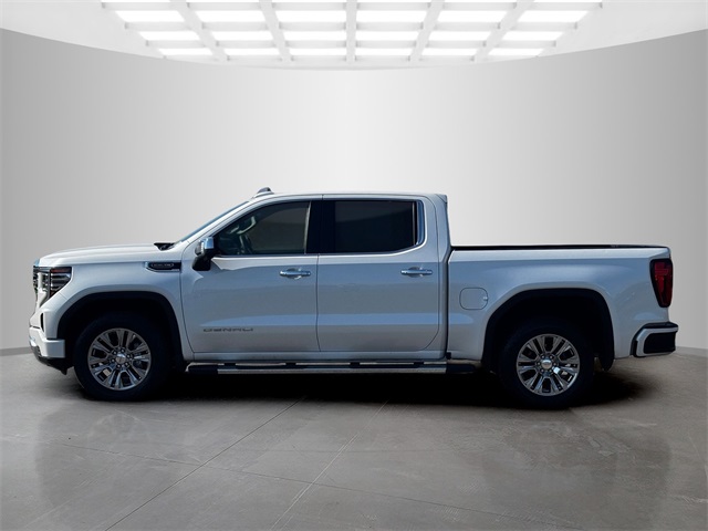2022 Gmc Sierra 1500 Denali photo 4