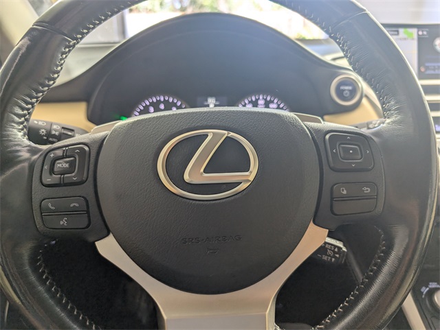 2015 Lexus NX 300h Luxury photo 22
