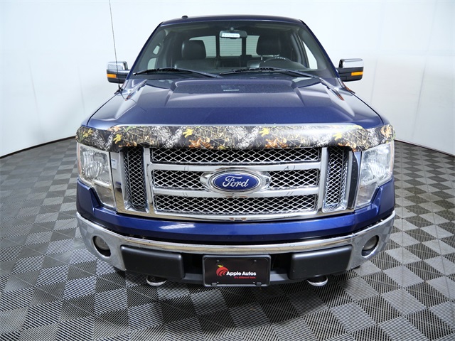 2010 Ford F-150 Base photo 3