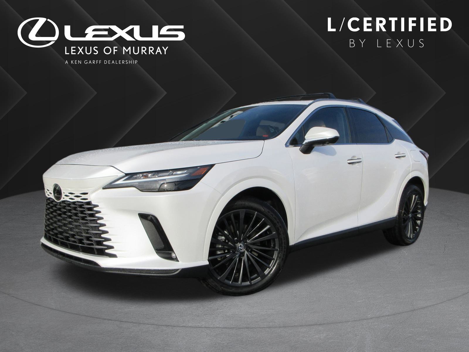 2025 Lexus RX Hybrid 350h's photo