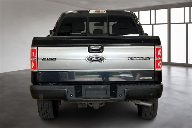 2013 Ford F-150 Platinum photo 4