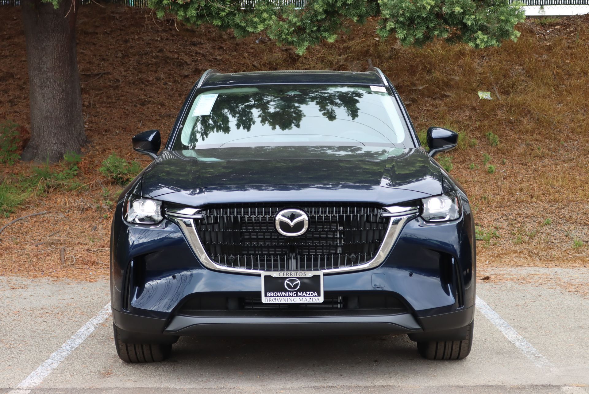 2026 Mazda CX-90 3.3 Turbo Preferred photo 3