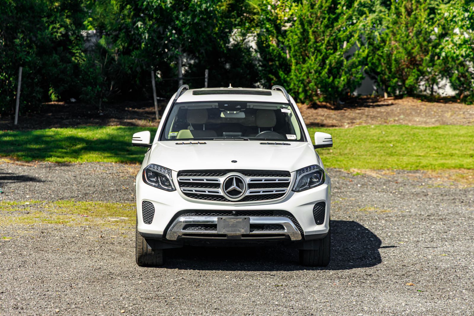 2019 Mercedes Benz GLS 450 4MATIC photo 2