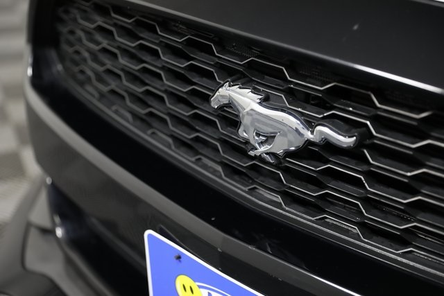 2017 Ford Mustang EcoBoost photo 22