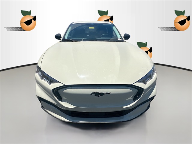 2025 Ford Mustang Mach-E Premium photo 2