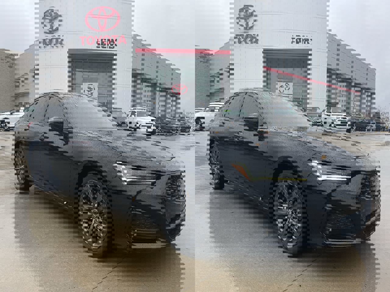 2023 Acura TLX A-Spec's photo