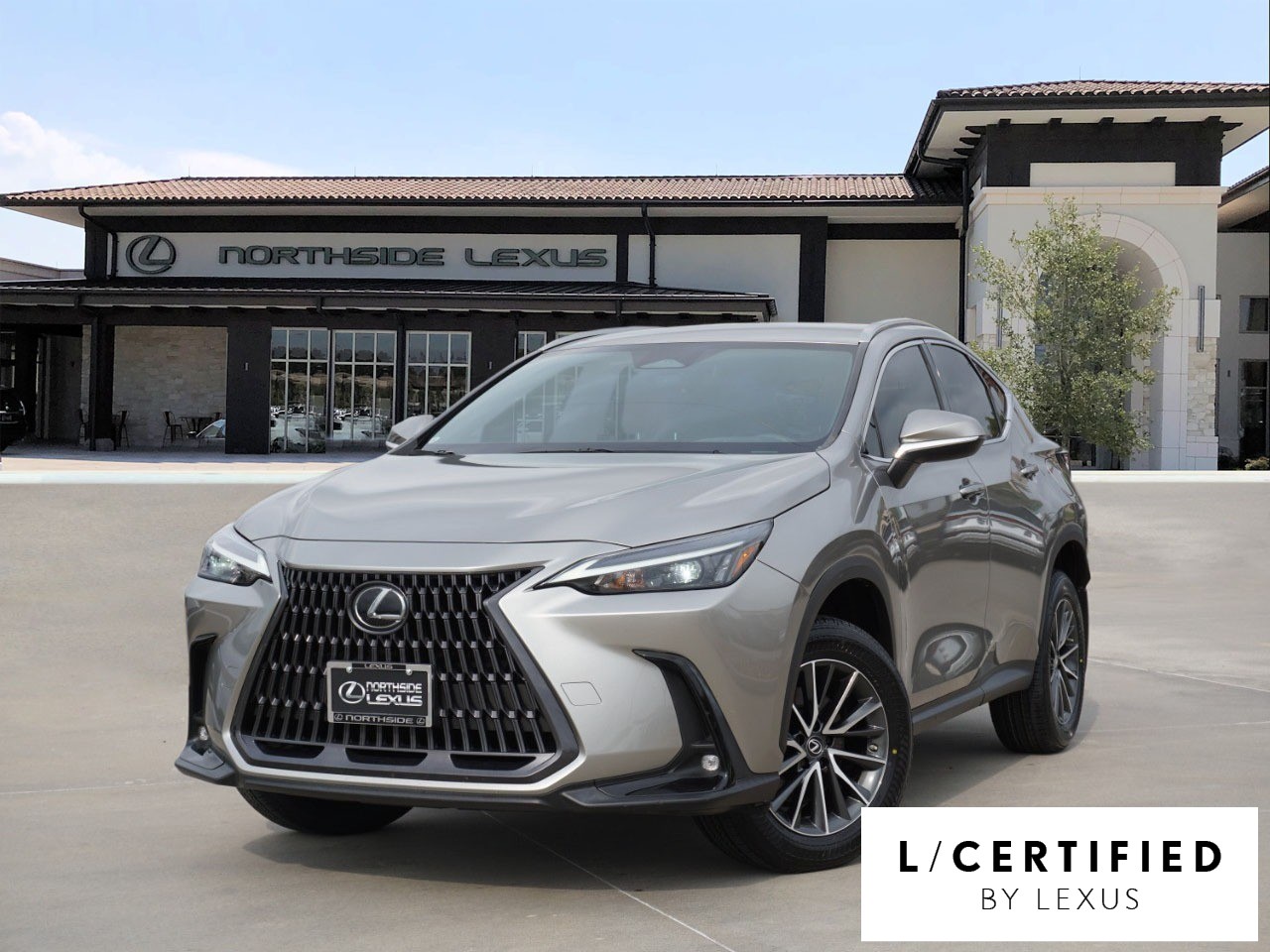 2022 Lexus NX 250's photo