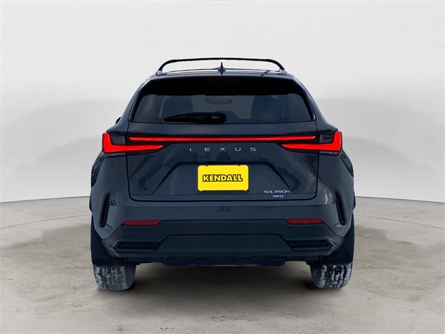 2025 Lexus NX 350h photo 4