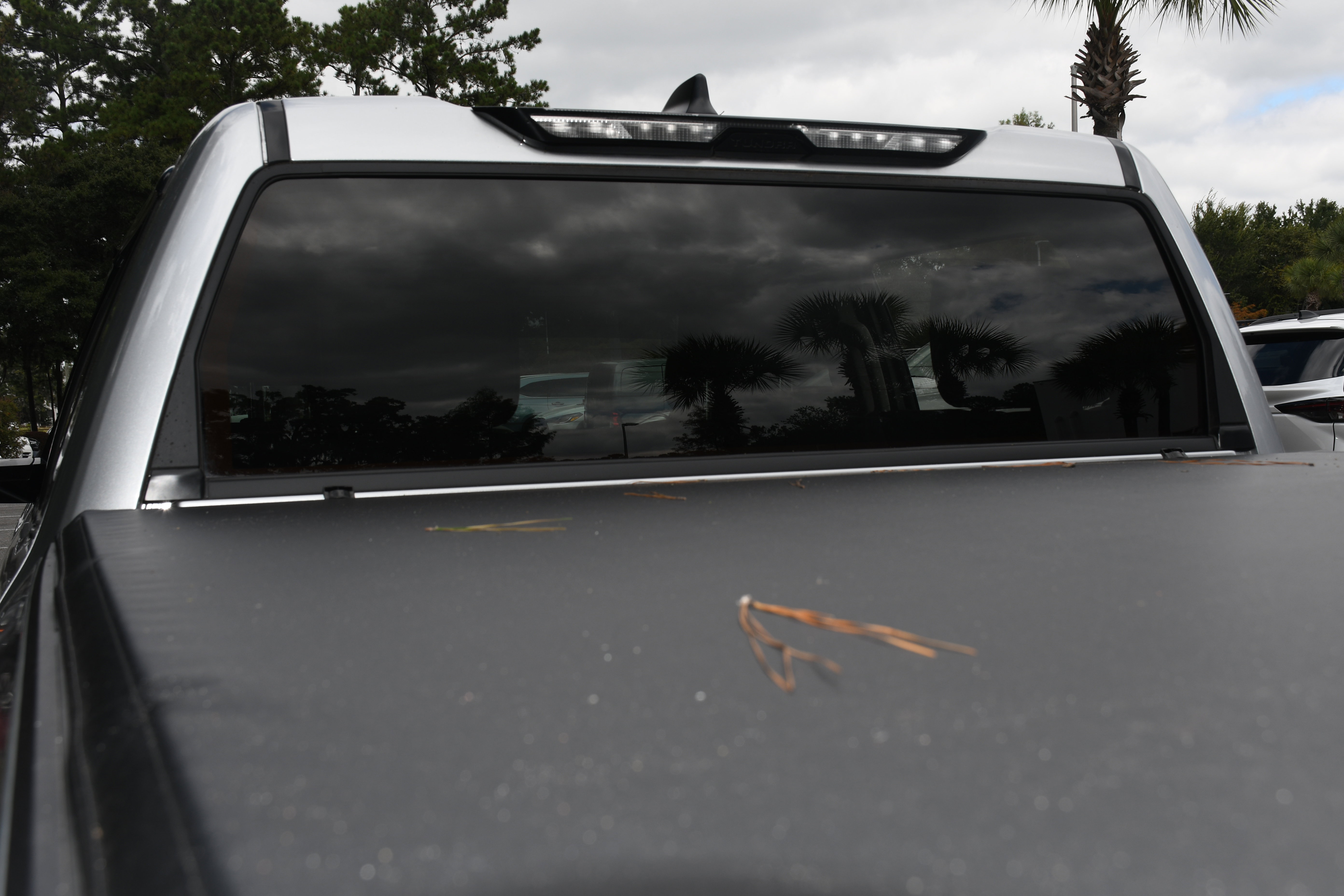 2024 Toyota Tundra SR5 CrewMax photo 6