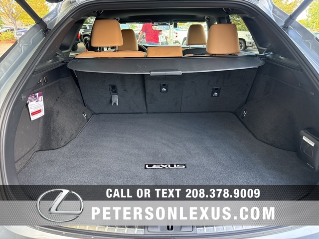 2024 Lexus RX 350h Premium photo 19