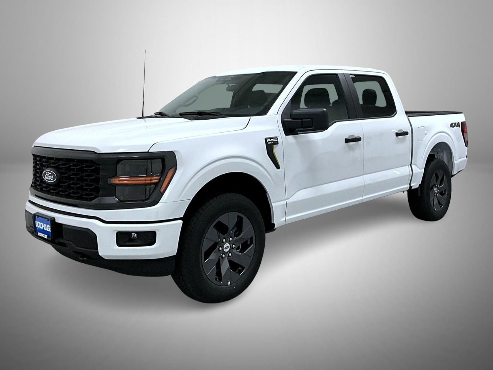2025 Ford F-150 STX's photo