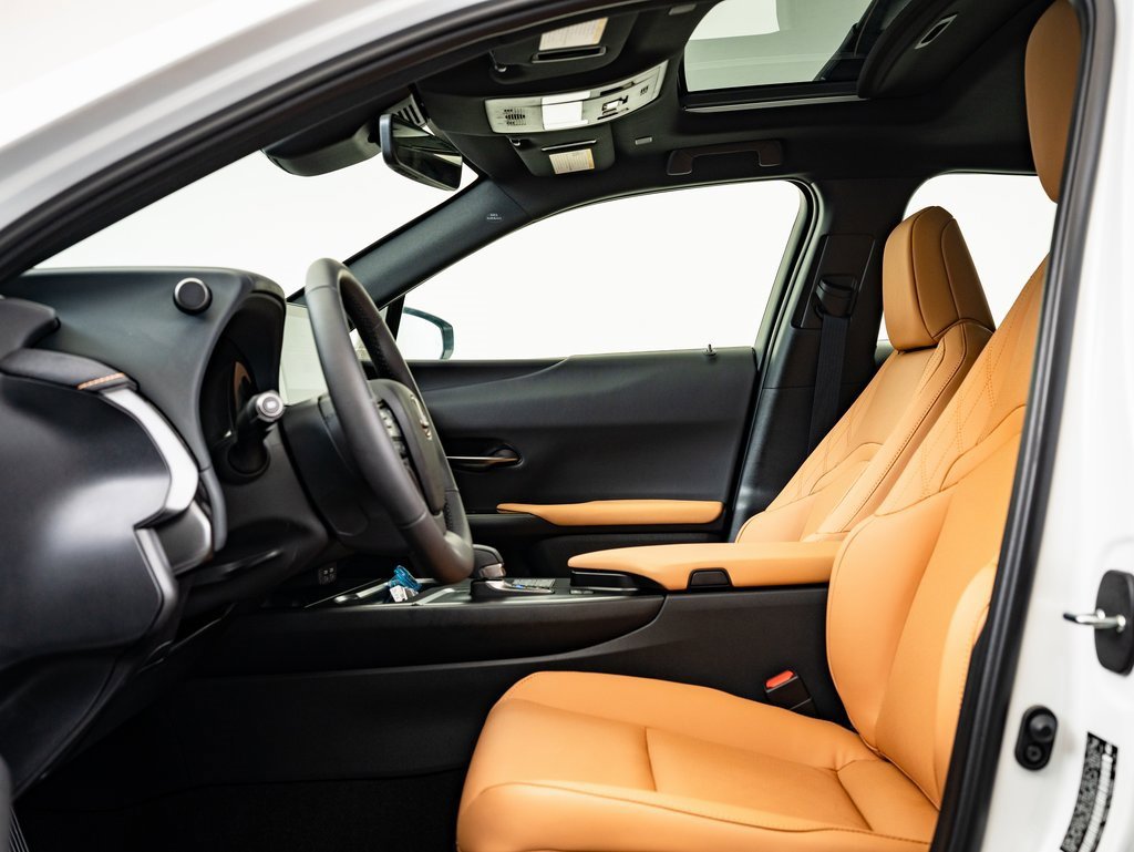 2025 Lexus UX Premium photo 19