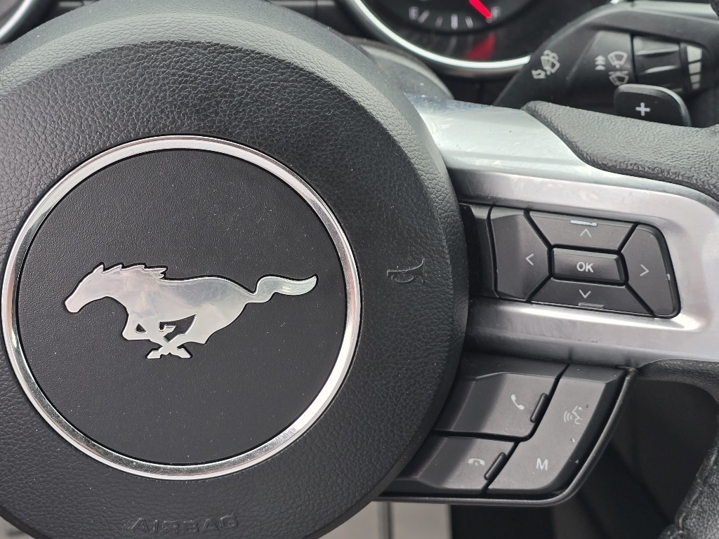 2019 Ford Mustang EcoBoost photo 15
