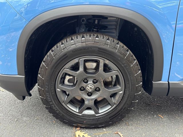 2025 Honda Pilot TrailSport photo 2
