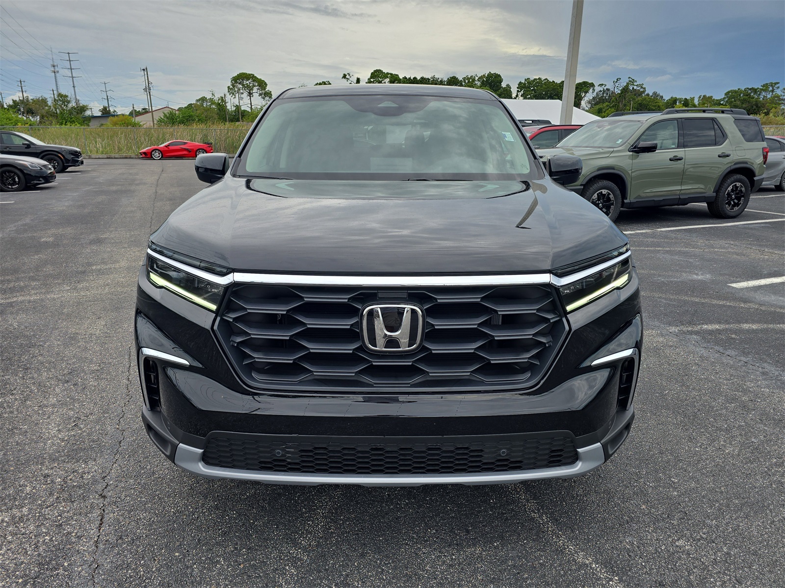 2025 Honda Pilot EX-L photo 5