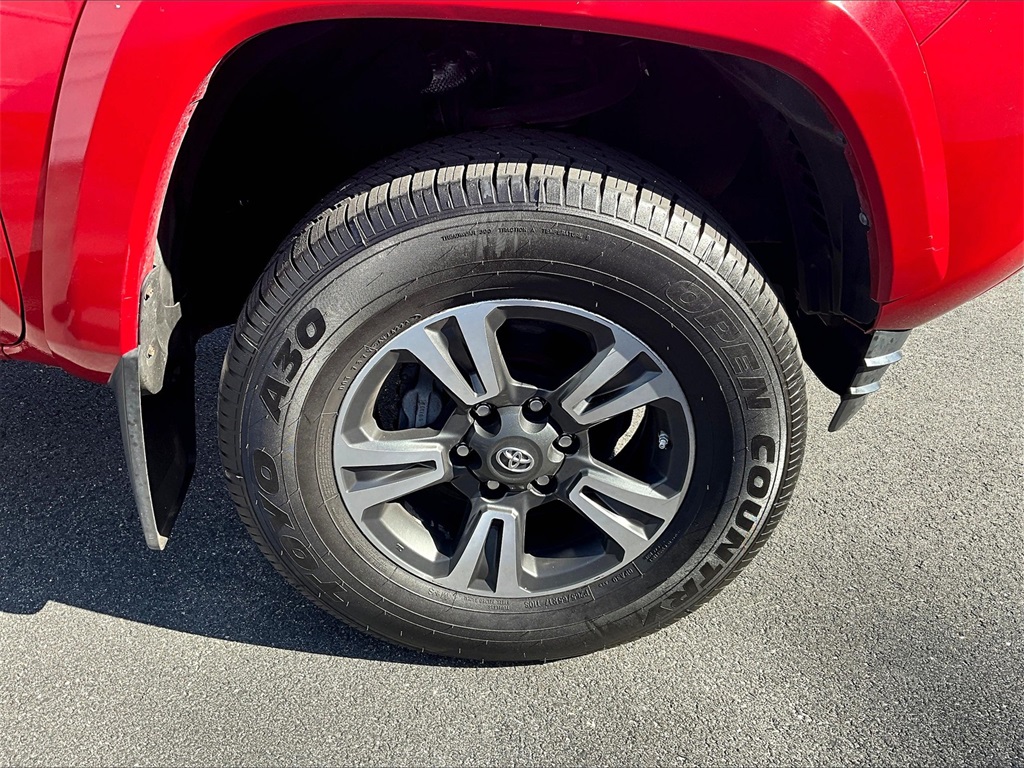2019 Toyota Tacoma TRD Sport photo 7