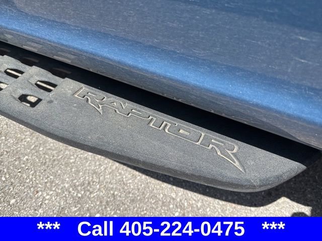 2020 Ford F-150 Raptor photo 10