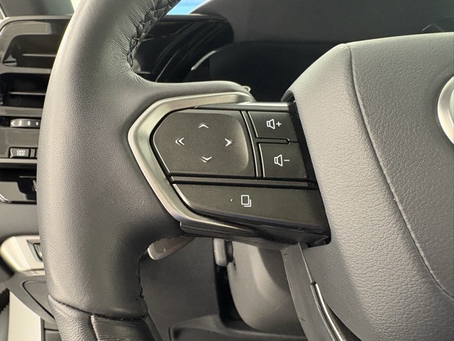 2024 Lexus RX 350h photo 10