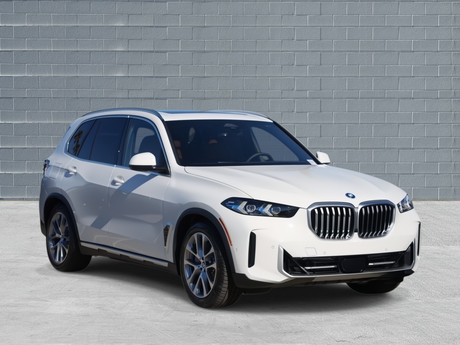 2026 BMW X5 50e's photo