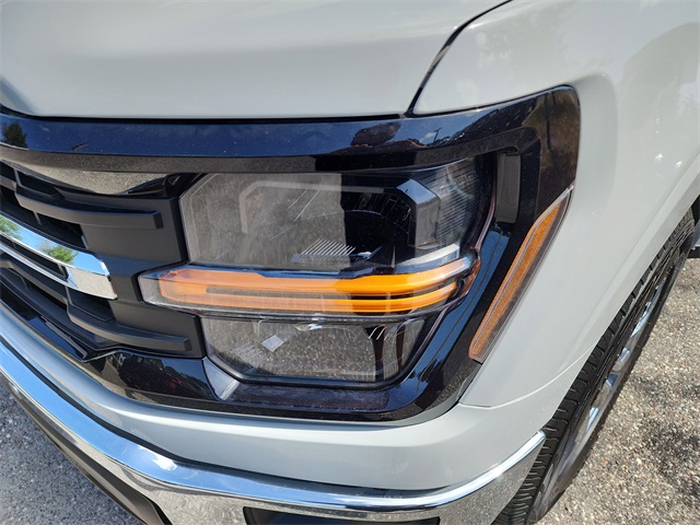 2024 Ford F-150 XLT photo 6