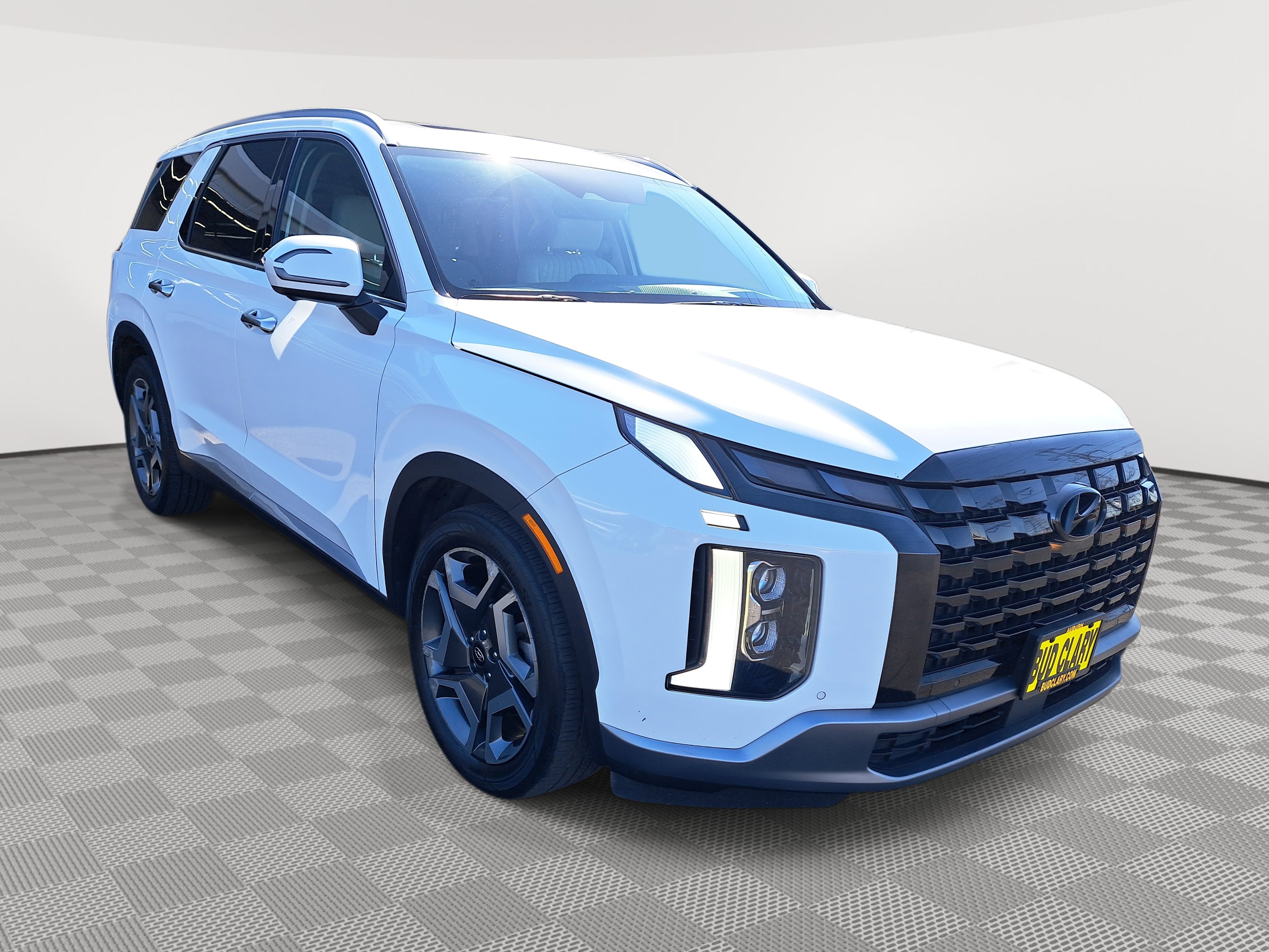 2023 Hyundai Palisade Limited photo 2