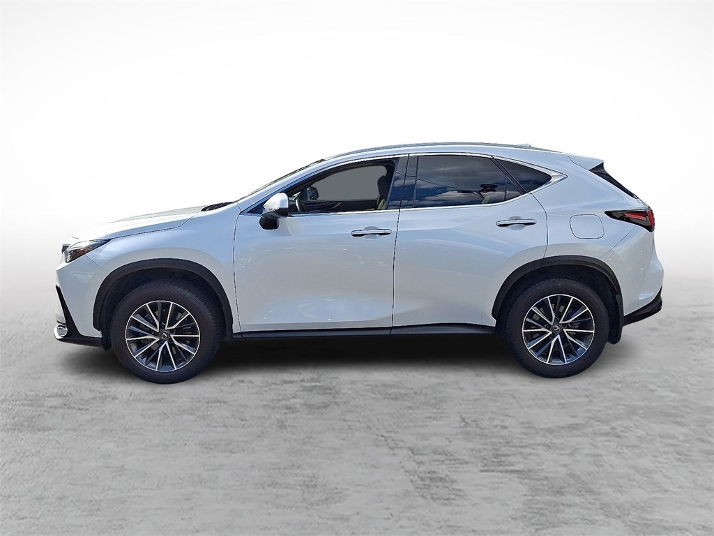 2024 Lexus NX 250 photo 6