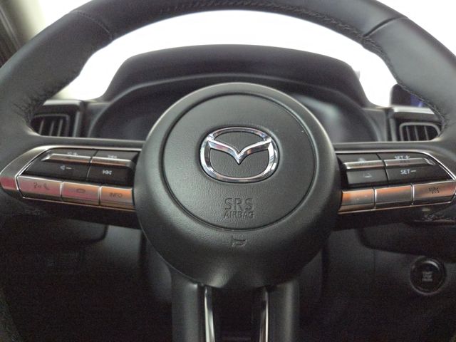 2025 Mazda CX-50 2.5 S Preferred photo 21