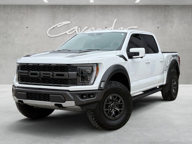 2022 Ford F-150 Raptor's photo