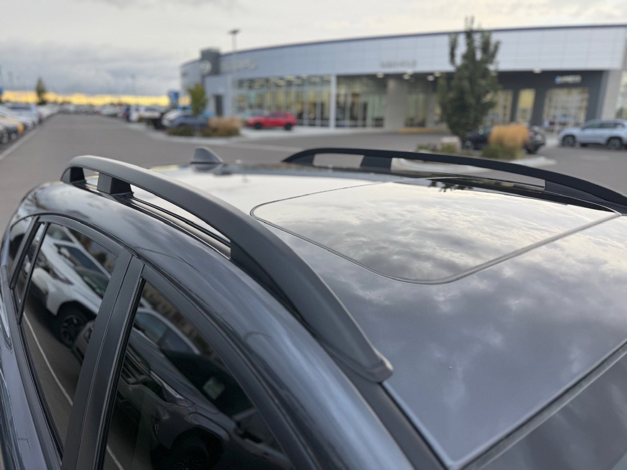View 50