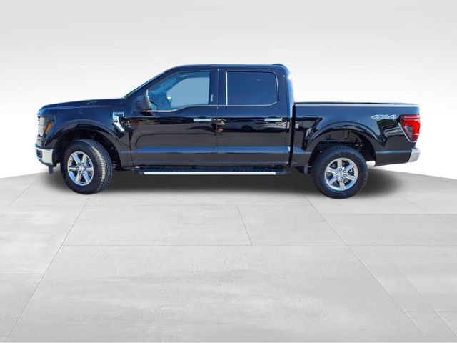 2024 Ford F-150 XLT photo 3
