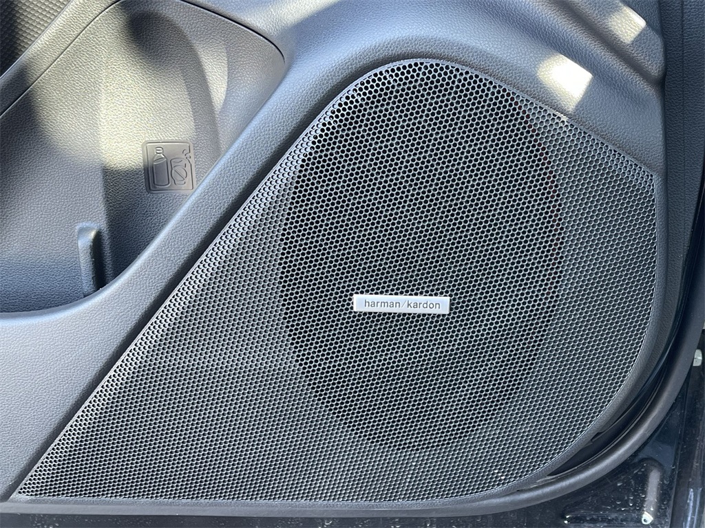 2024 Subaru Forester Wilderness photo 23