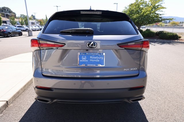 2019 Lexus NX 300 Luxury photo 3