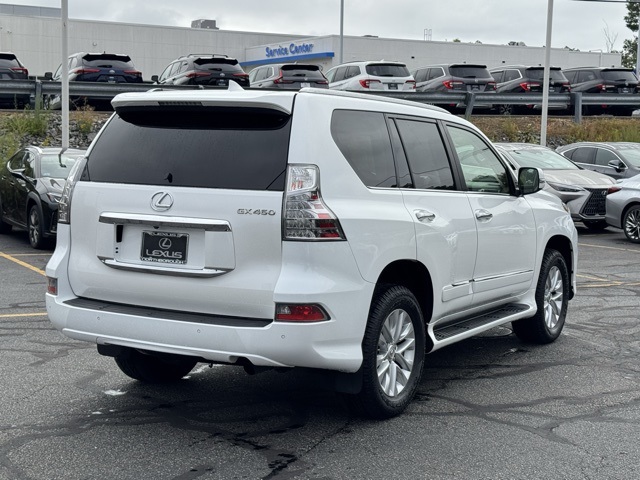 2018 Lexus GX 460 photo 6