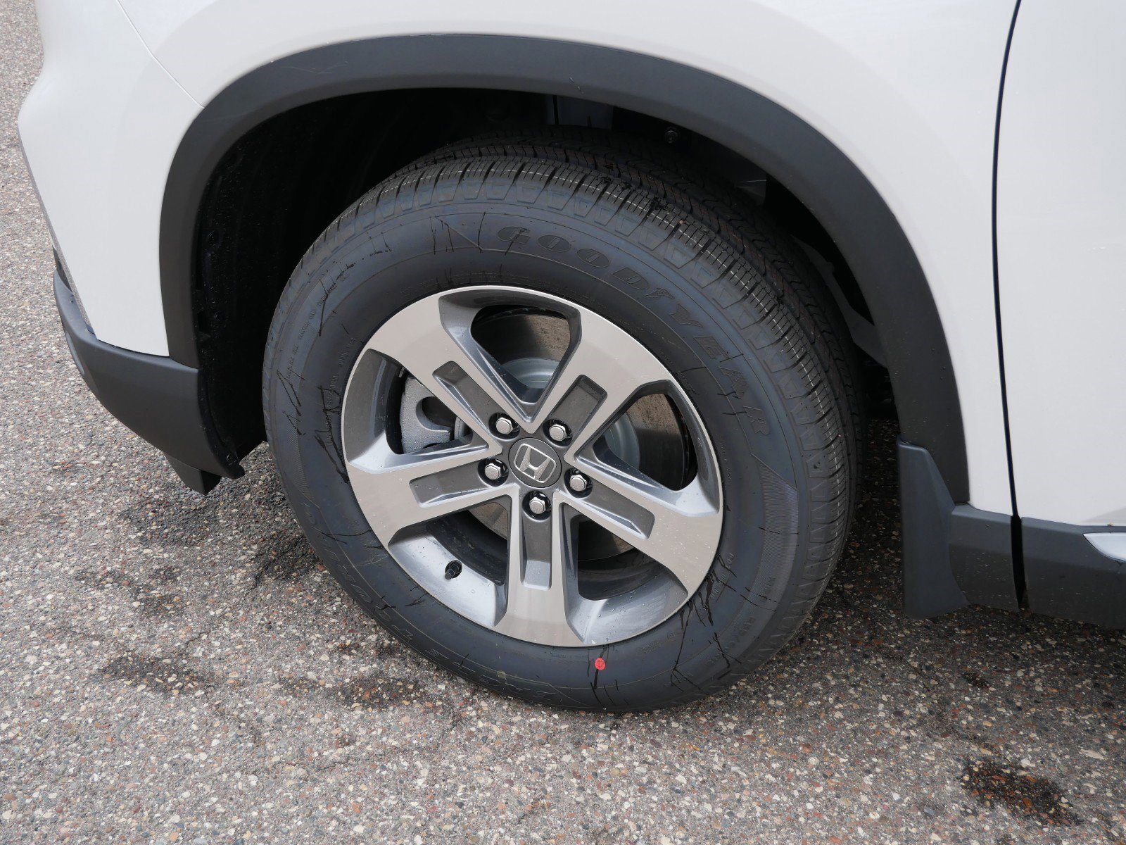 2025 Honda Pilot EX-L photo 8