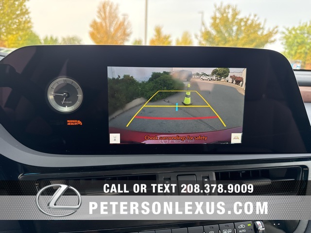 2025 Lexus ES 300h photo 16