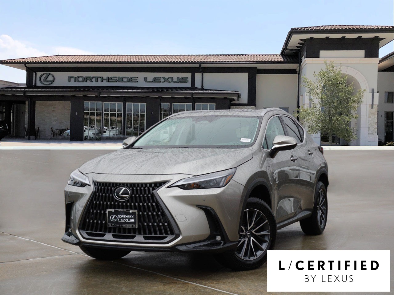 2025 Lexus NX 250's photo