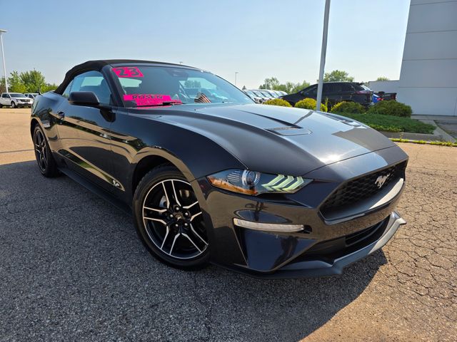 2023 Ford Mustang EcoBoost Premium photo 3