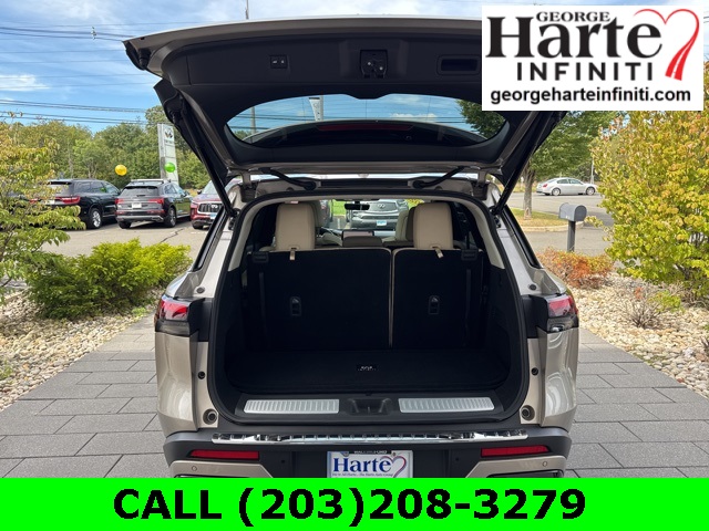 2023 Infiniti QX60 Luxe photo 9
