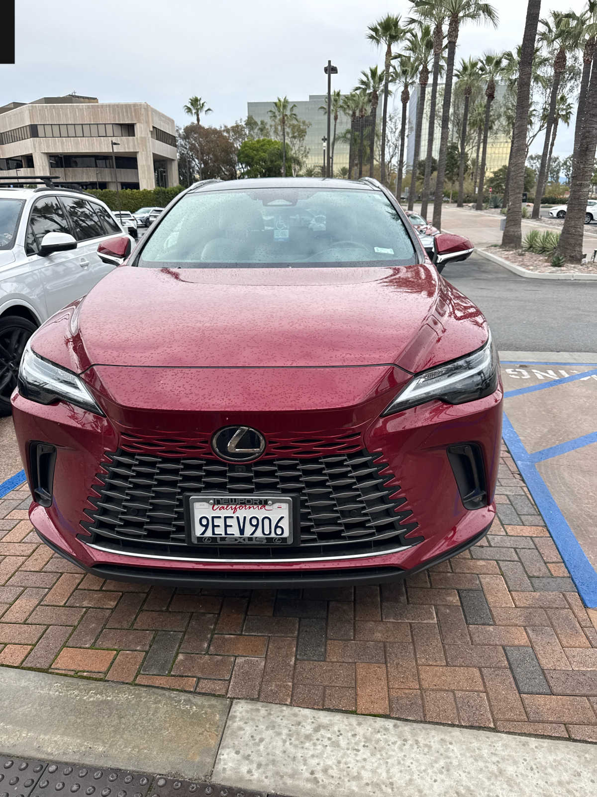 2023 Lexus RX Hybrid 350h's photo