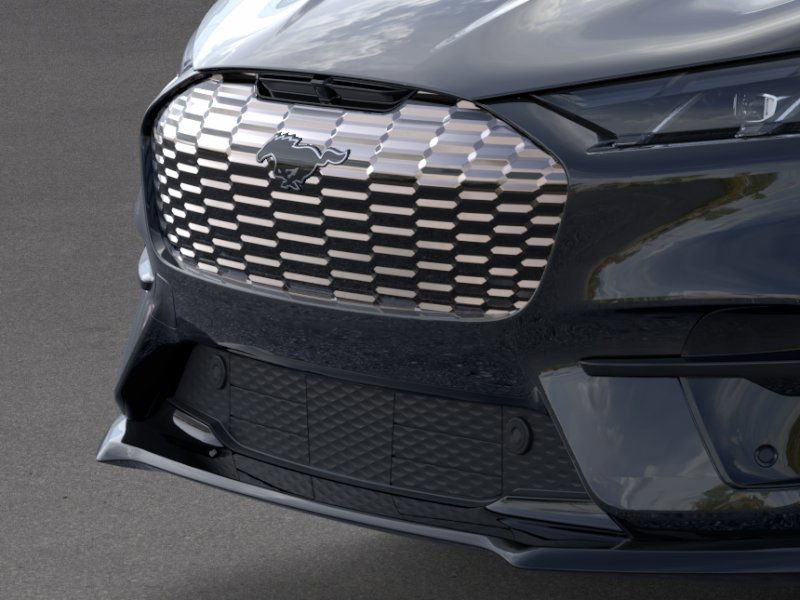 2025 Ford Mustang Mach-E GT photo 10