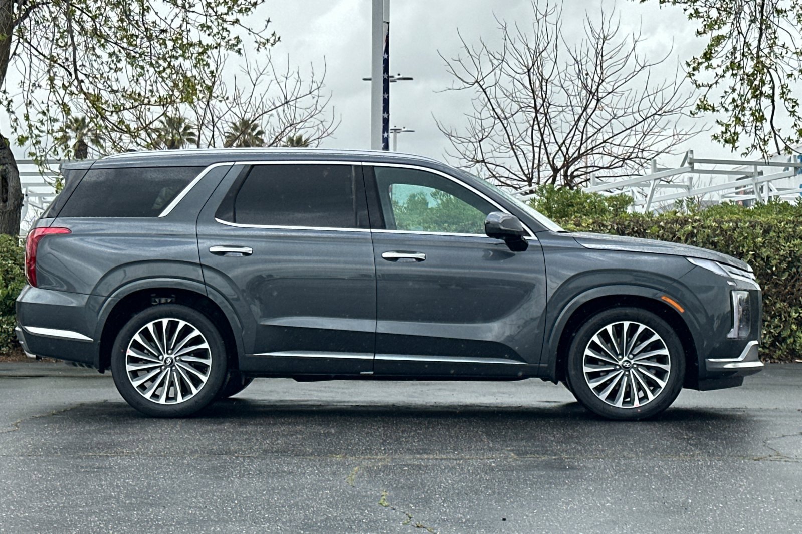 2025 Hyundai Palisade Calligraphy photo 3